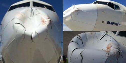 Una bandada de pájaros abolla el morro de un avión durante el descenso en Turquía