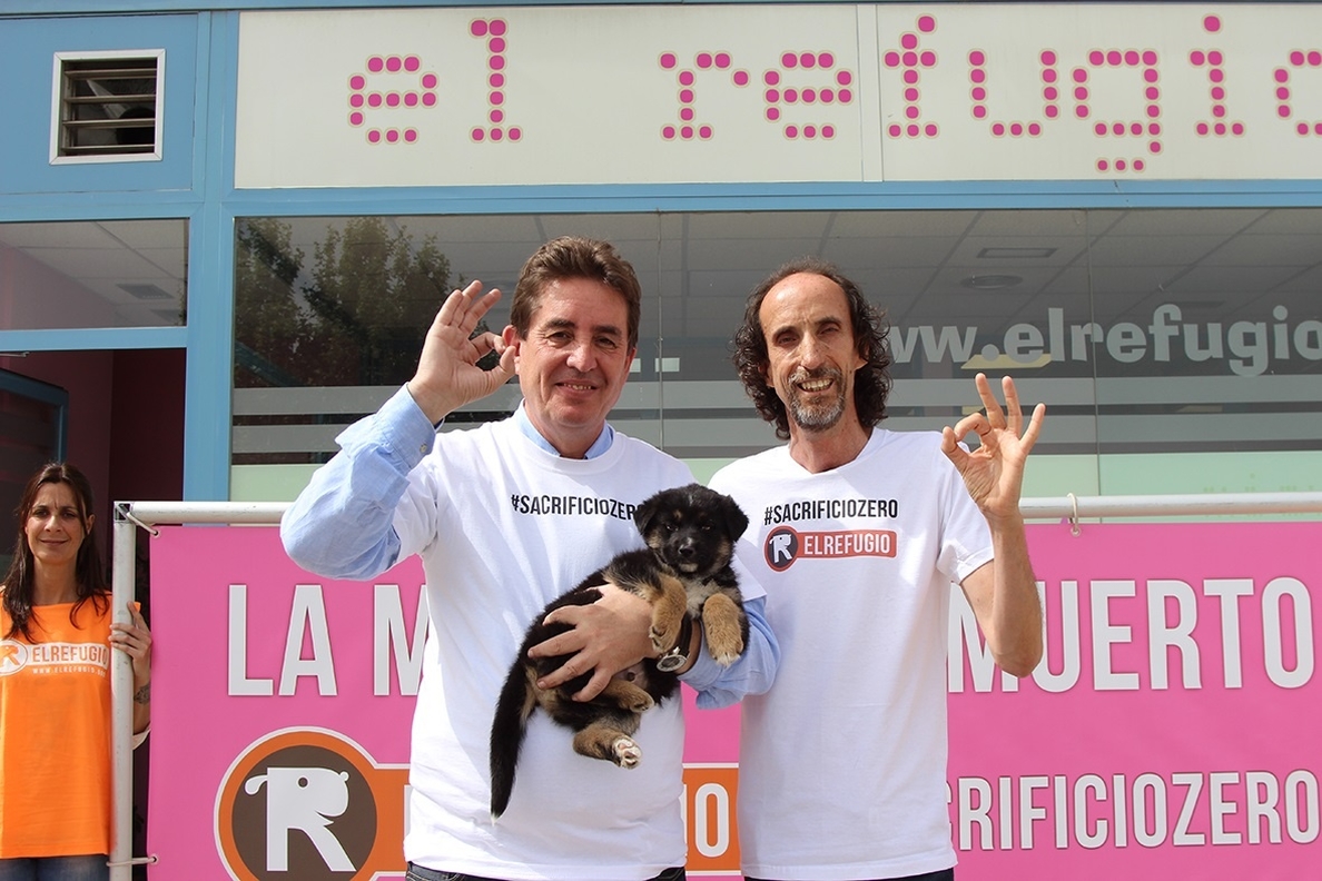 García Montero impulsará la iniciativa de »El refugio» en contra del sacrificio de animales abandonados