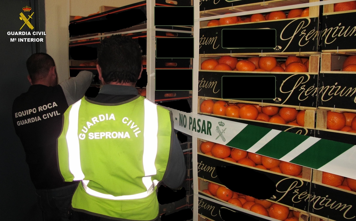 Imputados por empaquetar naranjas de baja calidad en envases de marcas de alta calidad