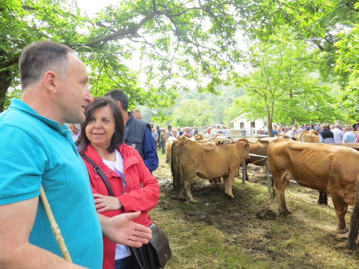 Álvarez destaca la calidad de la ganadería asturiana como «una apuesta de futuro»