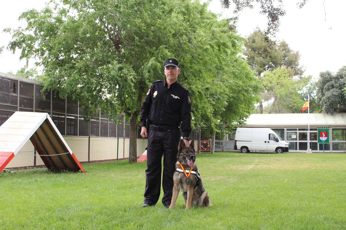 »Nena» recibe el premio al mejor can de 2014 de la Policía Nacional