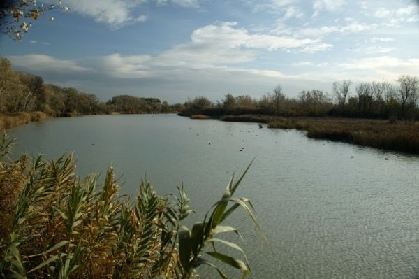 La campaña de limpieza de envases en las riberas del Ebro comenzará el 6 de junio en la Reserva de los Sotos de Alfaro
