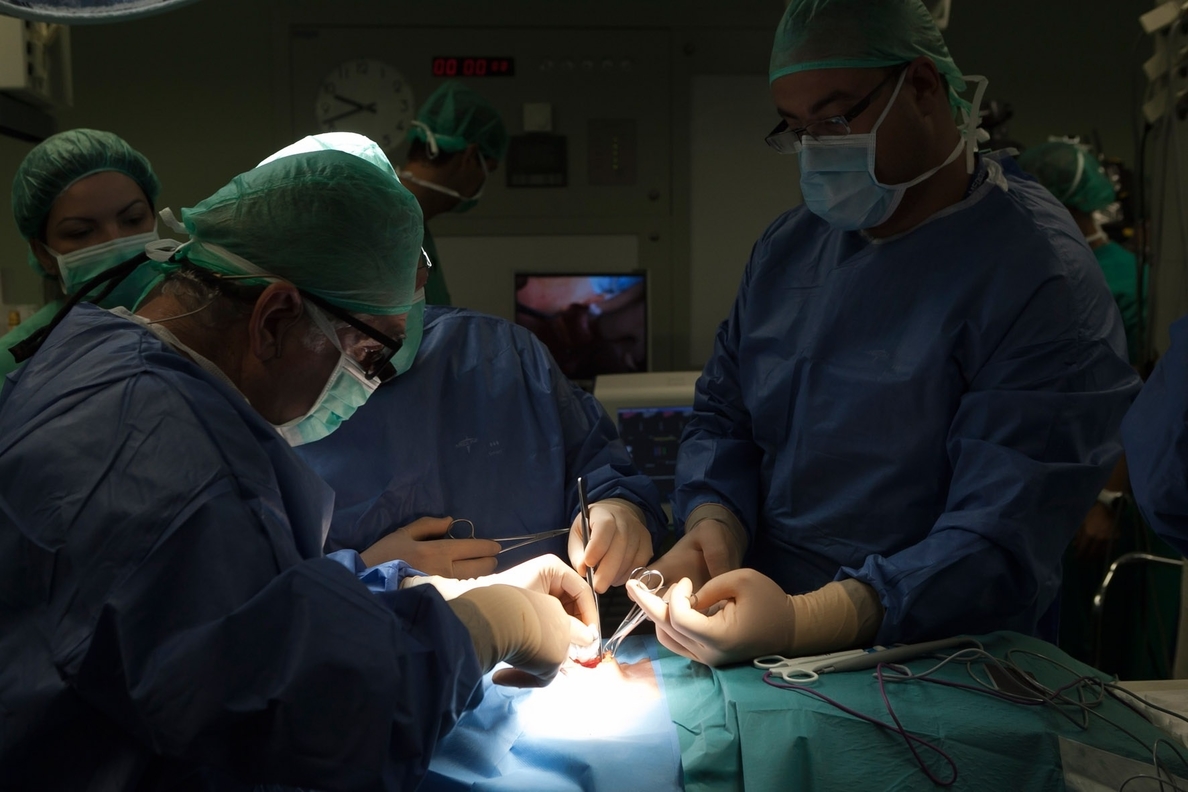 Canarias registra más de cien donaciones de riñón en 2014