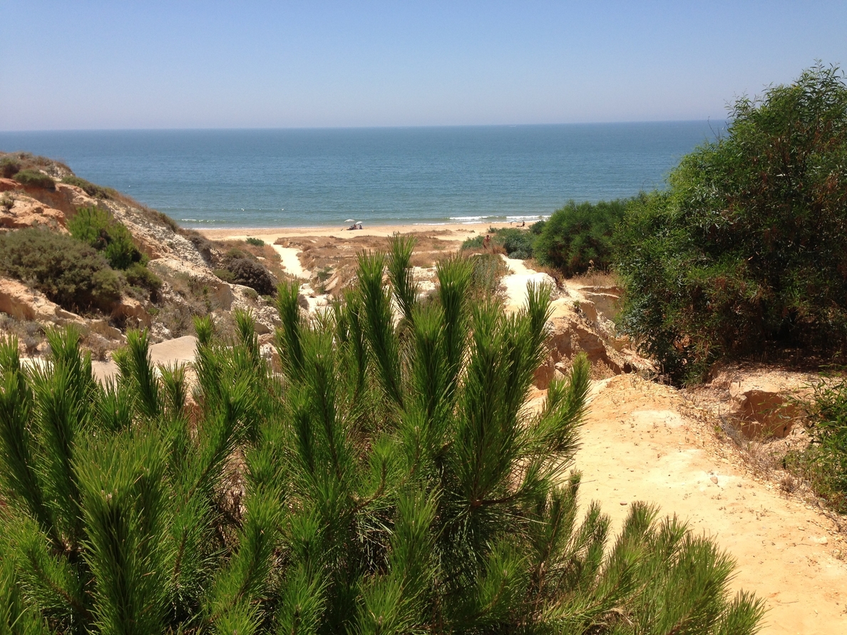 Las aguas de baño de las playas andaluzas presentan unas adecuadas condiciones sanitarias