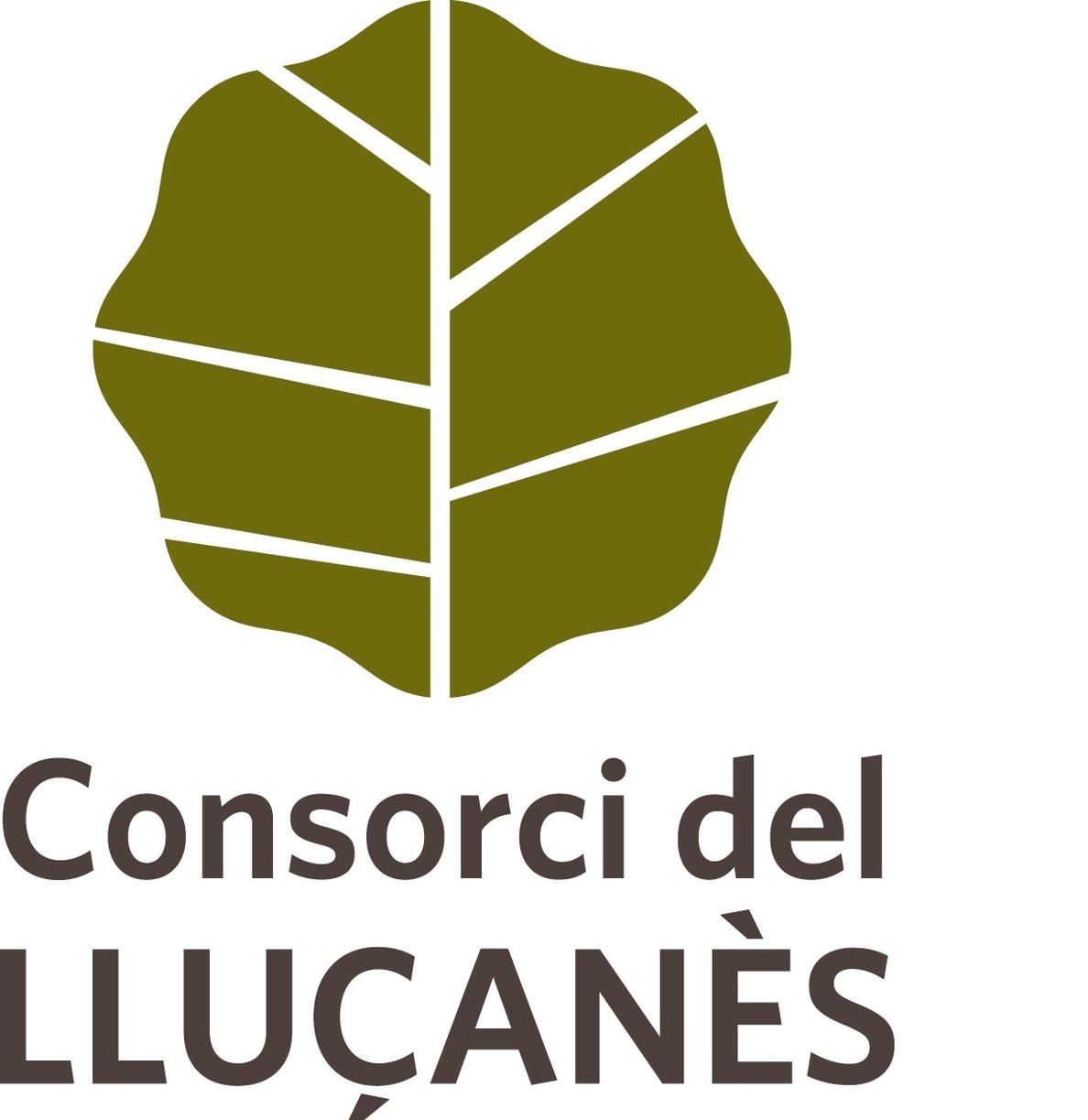 La consulta para crear la comarca del Lluçanès empieza su campaña hasta el 26 de julio
