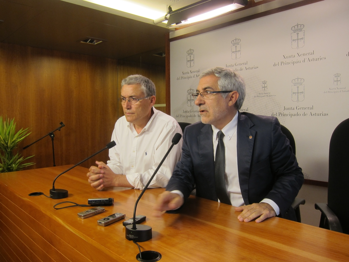 Llamazares pide a la FSA que inicie una «negociación imprescindible» con IU y Podemos