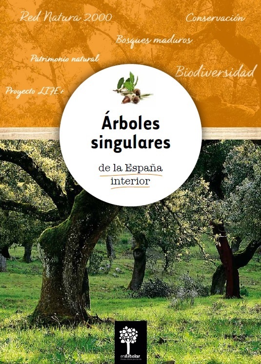 Fundación Félix Rodríguez de la Fuente edita un cuaderno dedicado a los »Árboles singulares de la España interior»