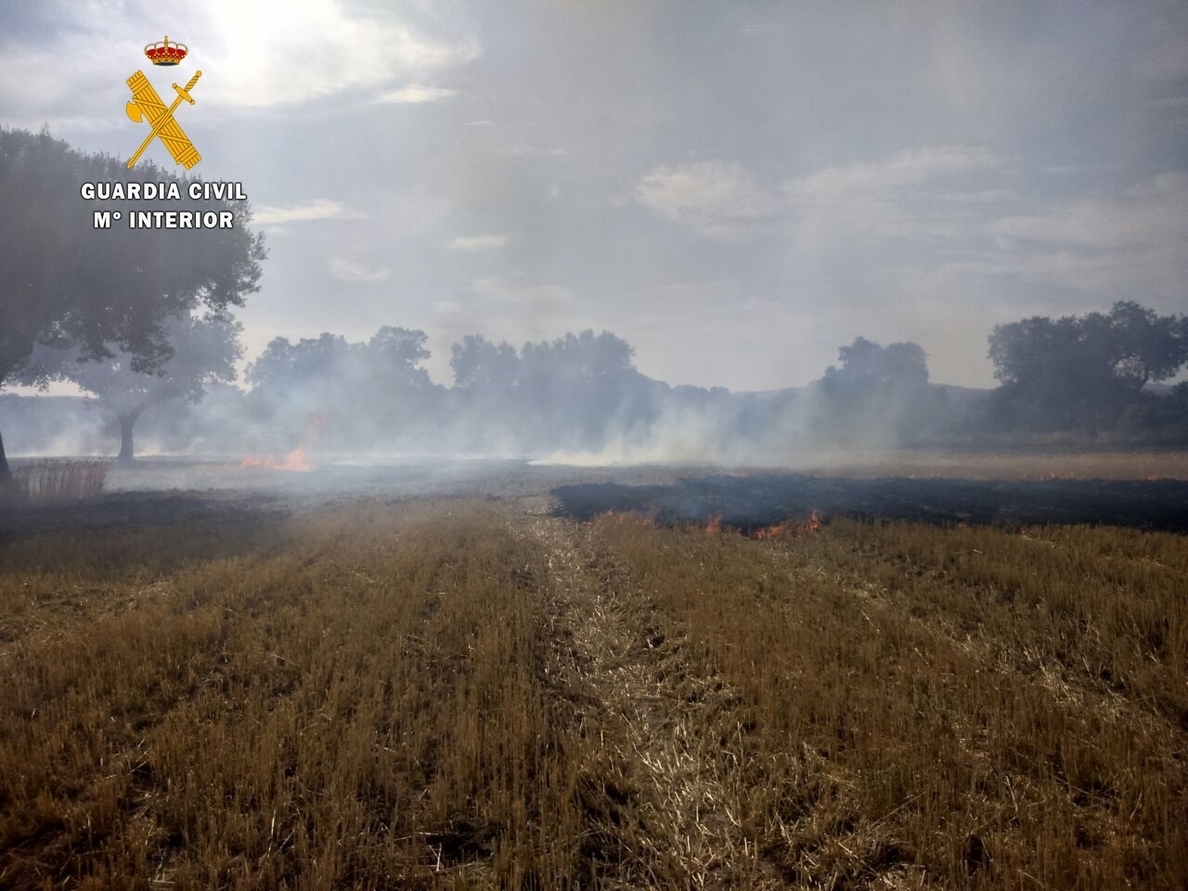La Guardia Civil detiene a tres personas por un incendio forestal en una finca de Villar del Rey (Badajoz)