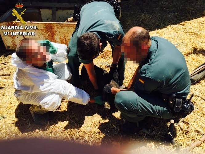 Retiran animales abandonados en una casa de Villarrasa (Huelva) e imputan a su dueño por maltrato