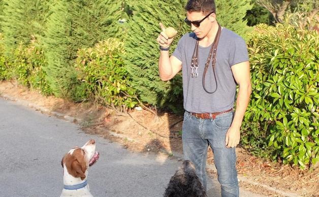 Miguel Ángel Silvestre adiestra a sus perros en las vacaciones de verano