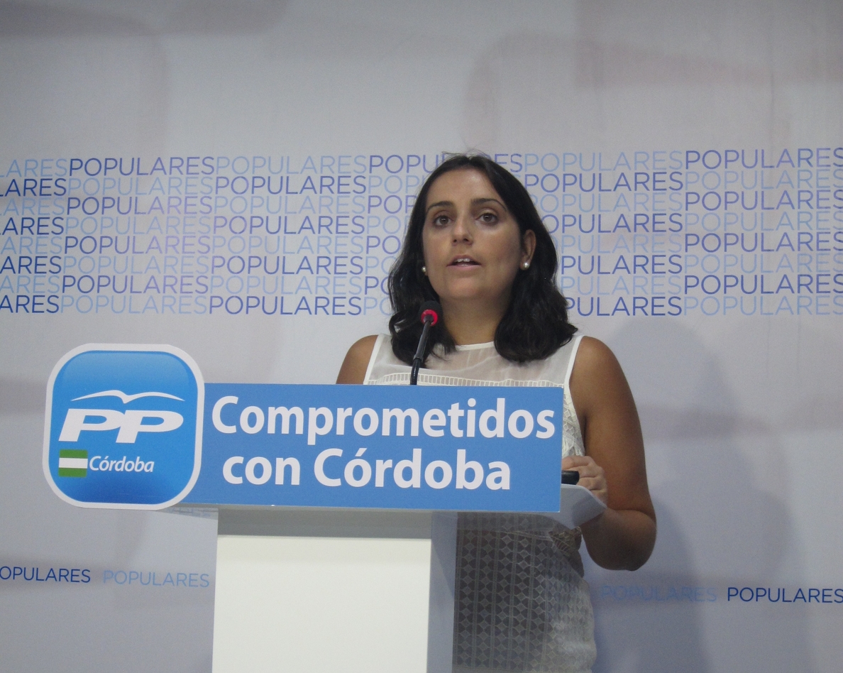 El PP valora que el Gobierno aporte 4,9 millones al aeropuerto, 700.000 al Metrotren y 5,5 a inversiones