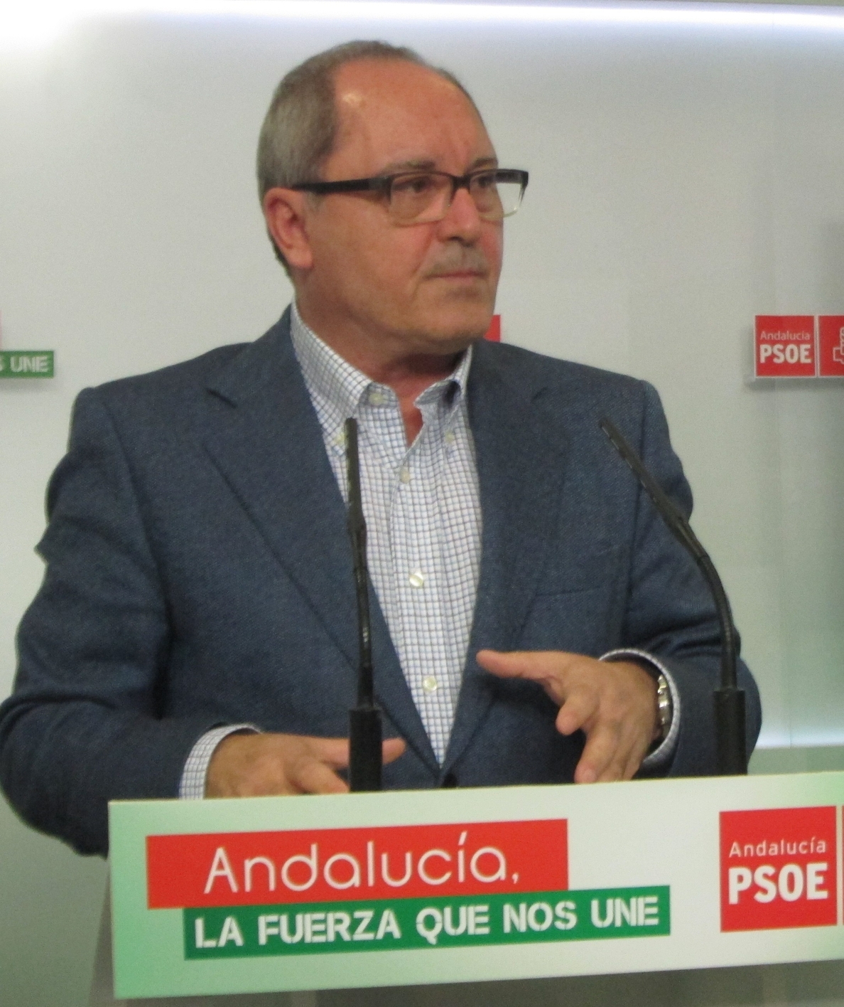 El PSOE critica que el PP pretenda «dar lecciones» sobre el caso Aznalcóllar «con un rosario de casos de corrupción»