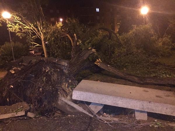 Aranjuez estudia pedir la declaración de zona catastrófica tras los destrozos de la tormenta