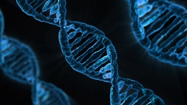 Investigadores ponen orden al »big data» genómico del cáncer de colon