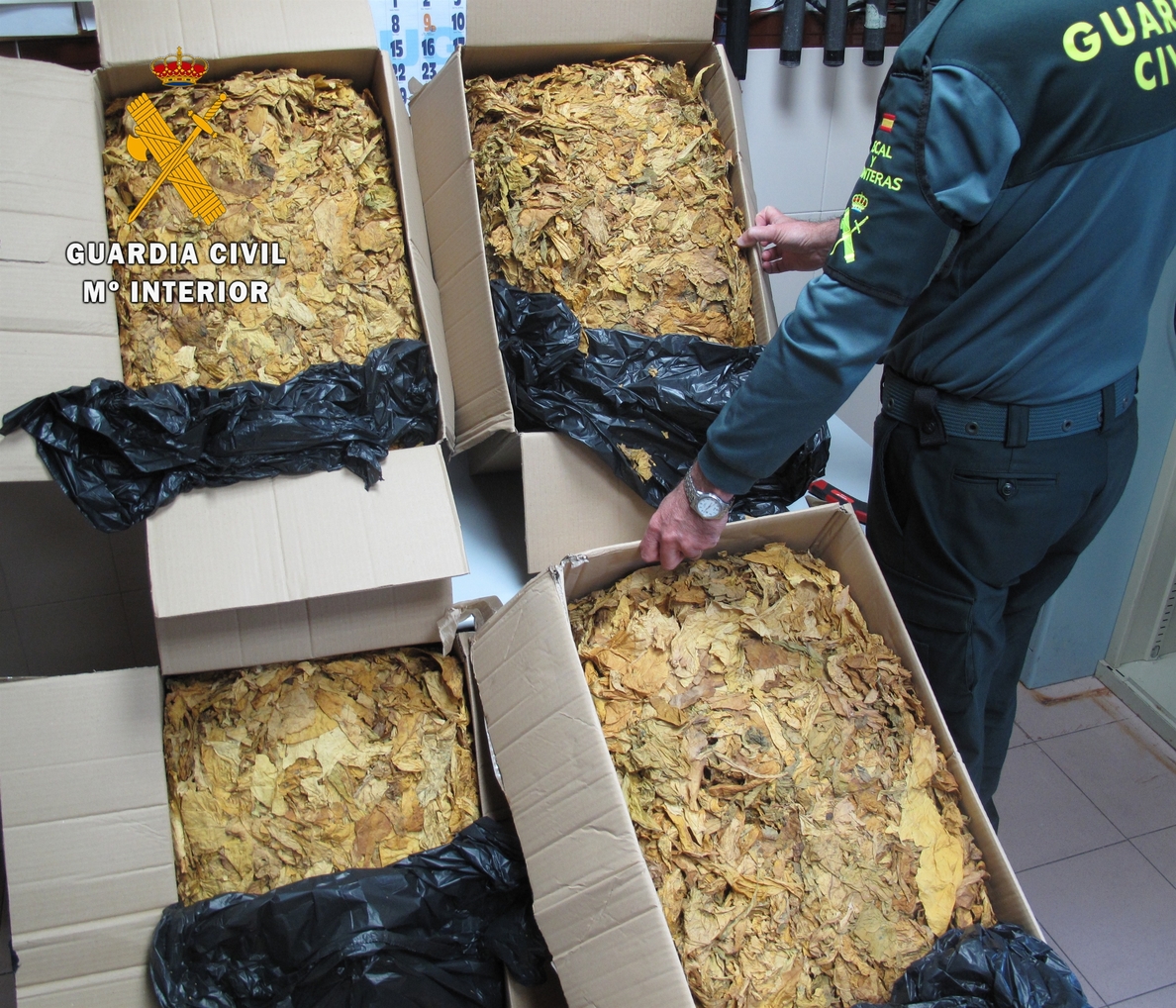 La Guardia Civil interviene en la frontera de Badajoz 49 kilos de tabaco semipicado procedente de contrabando