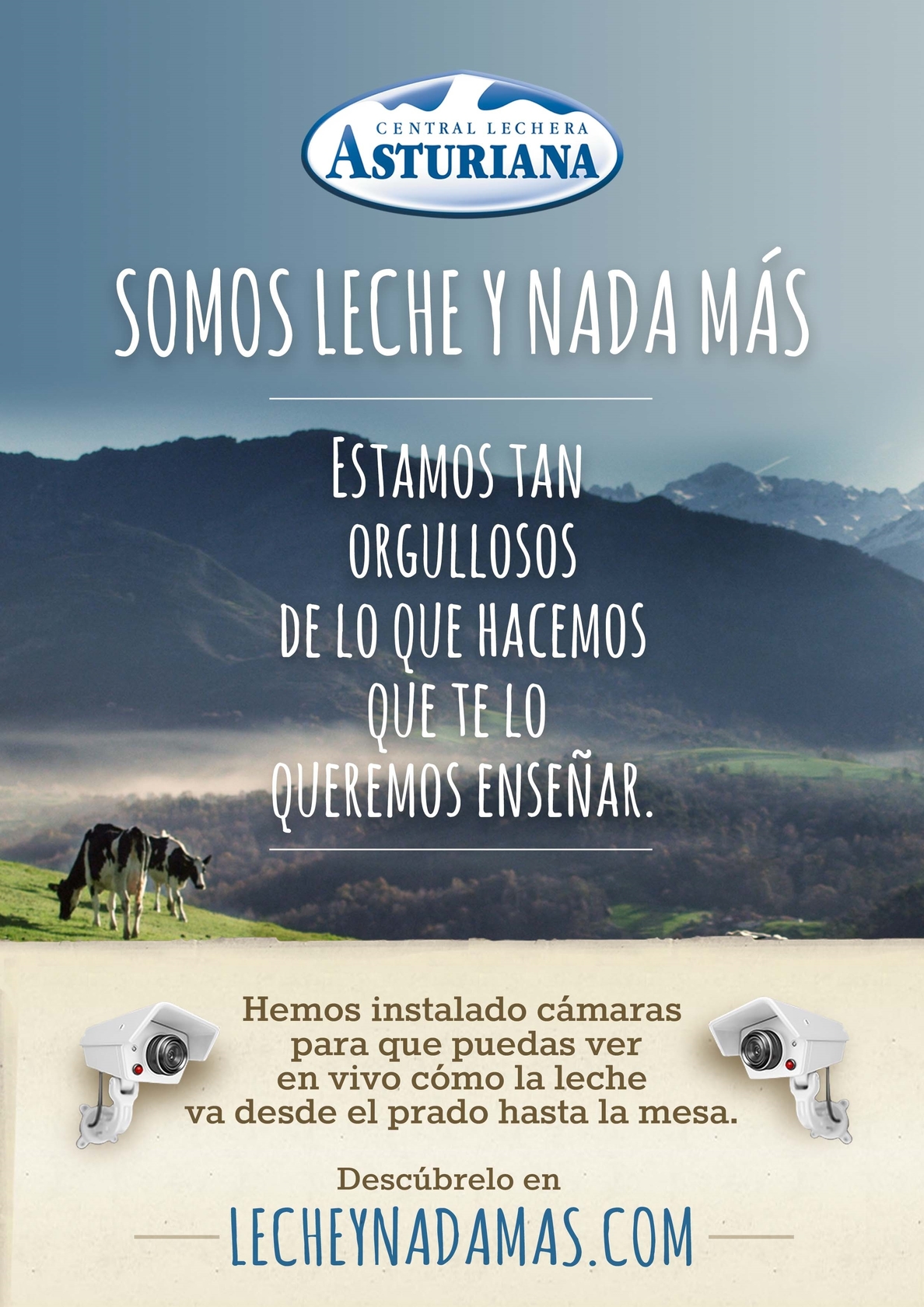 Central Lechera Asturiana, Premio a la Eficacia en Comunicación Comercial