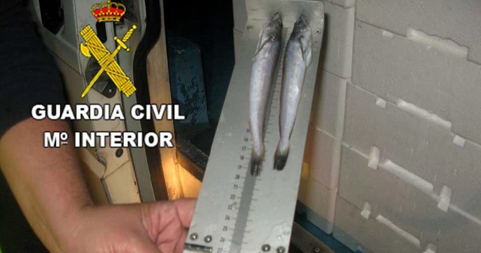 La Guardia Civil se incauta en Guarromán de 200 kilos de pescado inmaduro