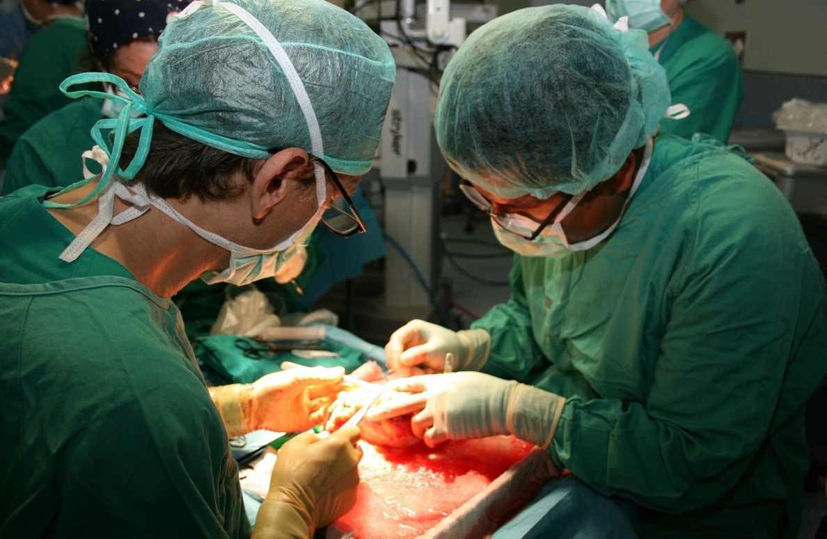 El trasplante renal cumple 50 años en España, con más de 62.000 trasplantes realizados