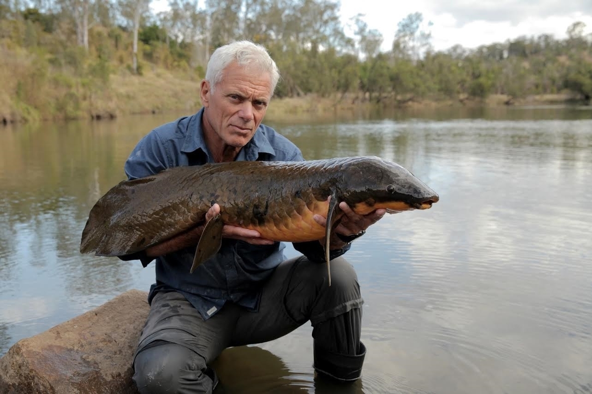 El depredador fluvial más terrible en el especial de »Monstruos de río» en Discovery MAX