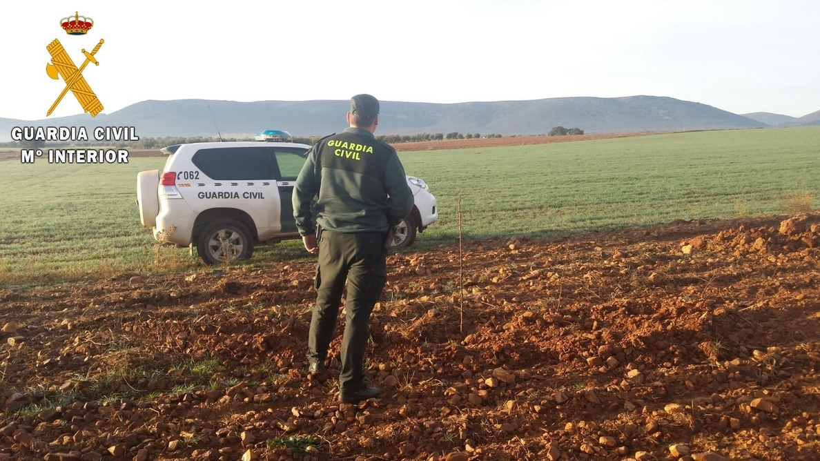 La Guardia Civil detiene a una persona por sustraer 136 almendros de una parcela de Los Yébenes (Toledo)