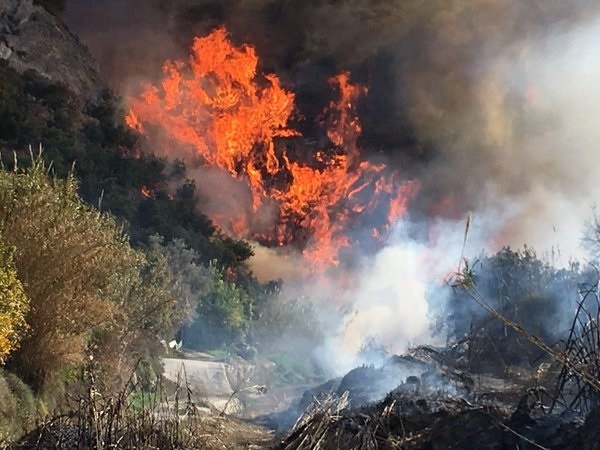 Estabilizado el incendio forestal declarado en un paraje de Los Guájares (Granada)