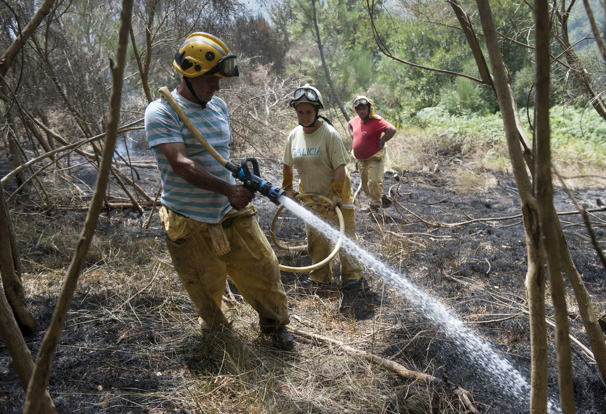 Medio Ambiente trabaja para apagar cuatro incendios forestales
