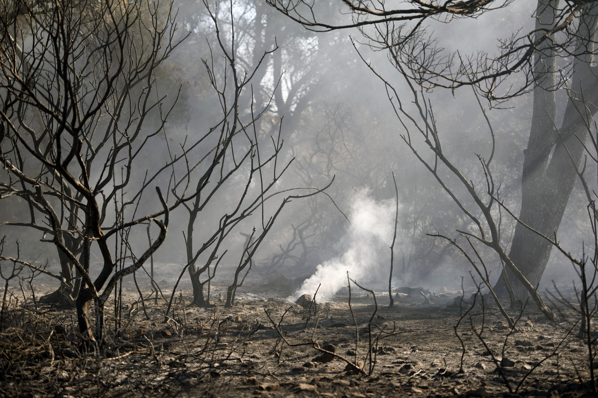 Estabilizado el incendio forestal declarado al norte de Menorca