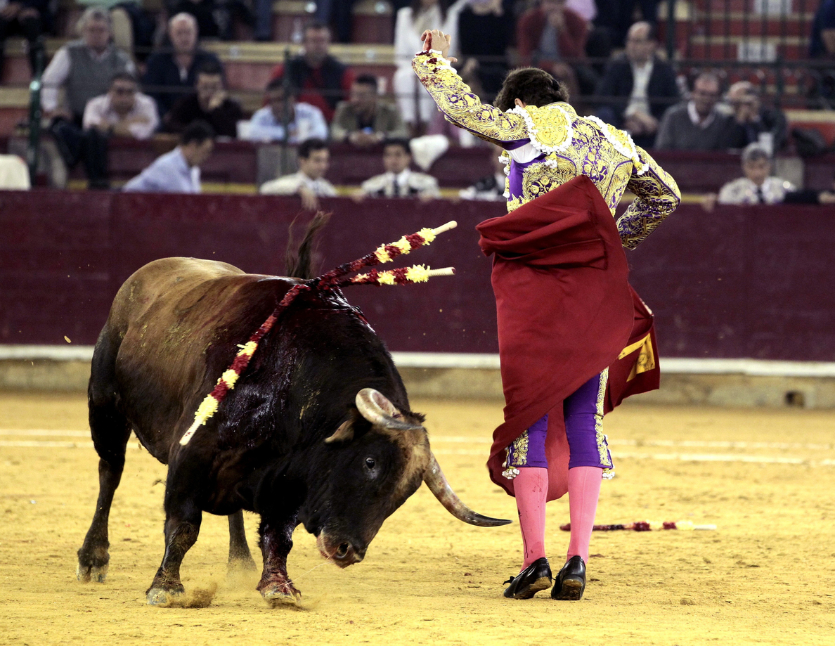 El toro no es un símbolo oficial de España, dice el Supremo