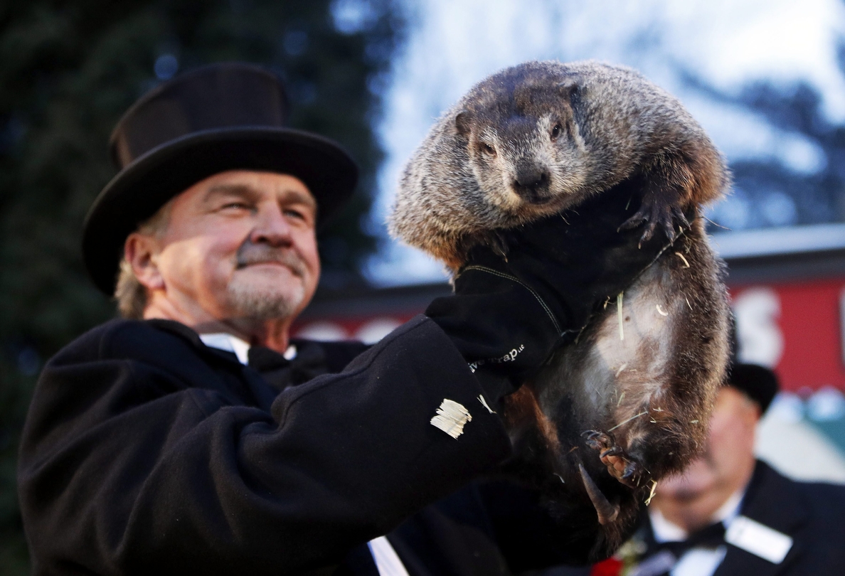 La marmota Phil predice un invierno largo en EEUU: seis semanas más