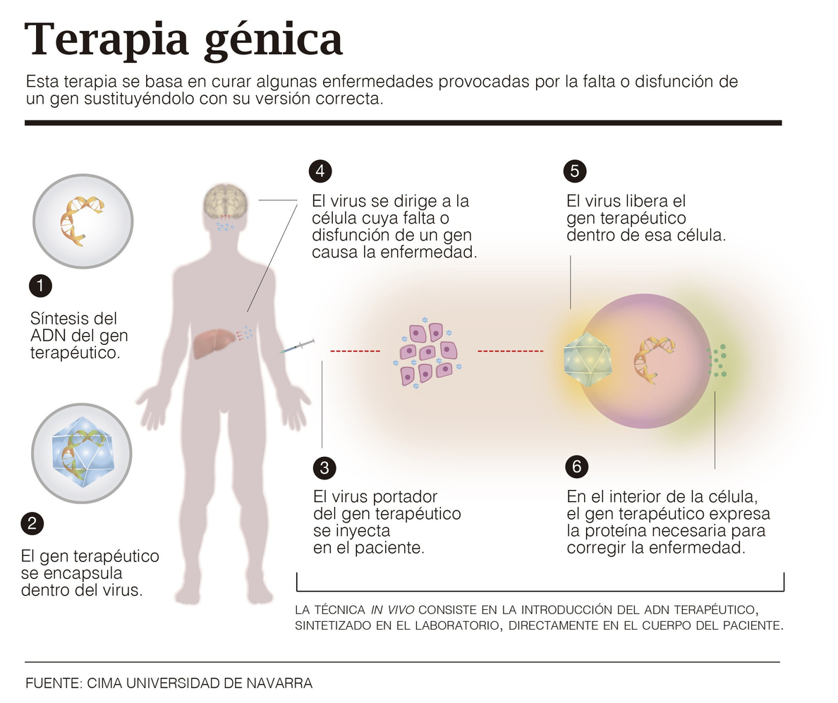 Terapia génica: más cerca de curar enfermedades raras originadas por único gen