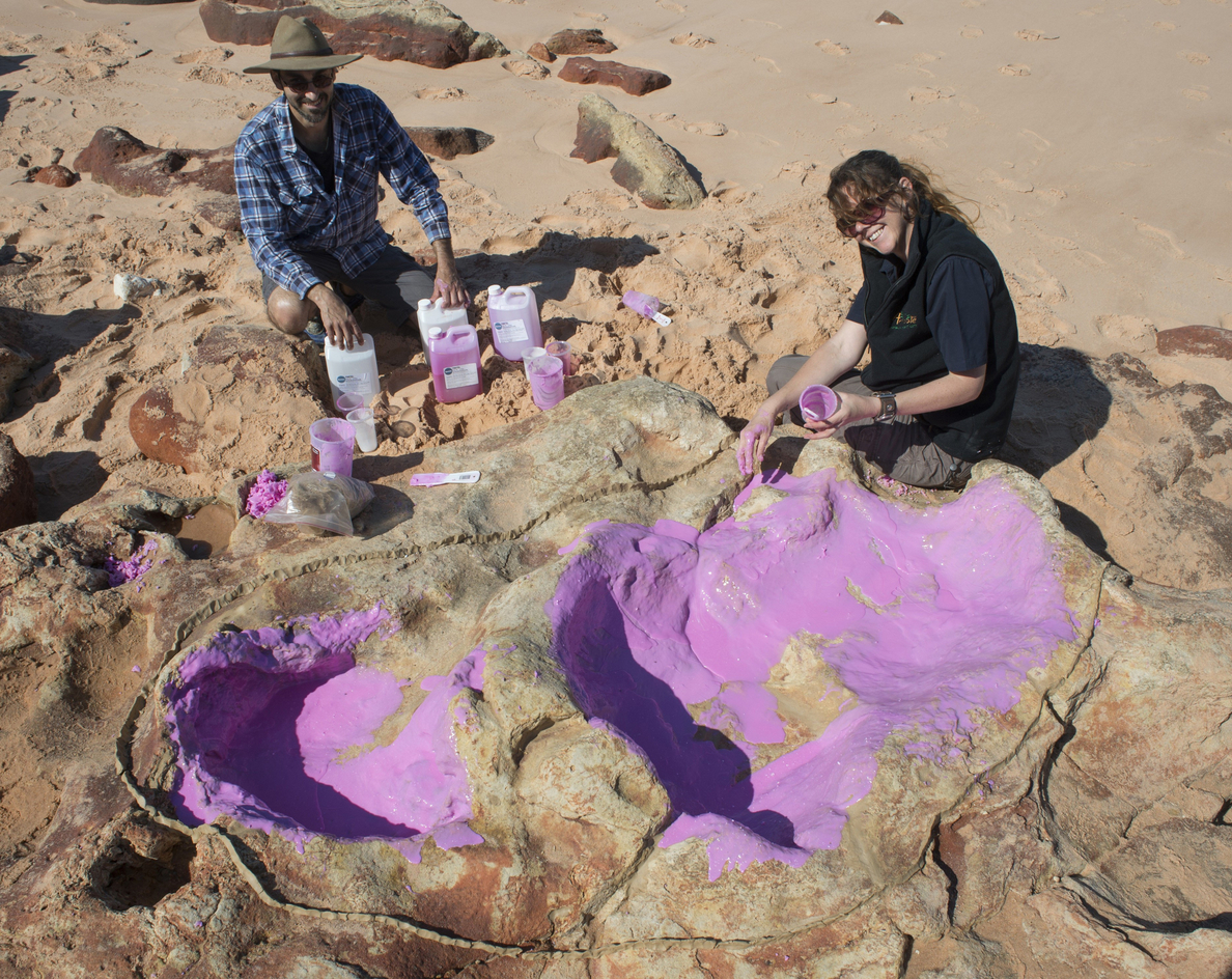 Identificadas 150 huellas de 21 especies de dinosaurios en Australia