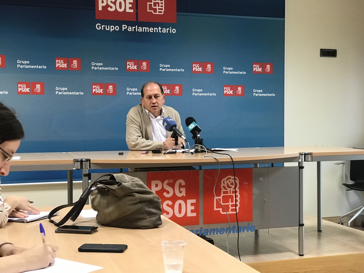 Leiceaga cree que si el PSdeG «tuviese una situación normalizada» habría «más» presencia gallega en el Comité Federal