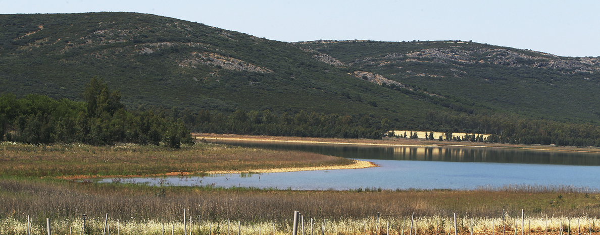 Los pantanos españoles vivirán su peor verano de la última década