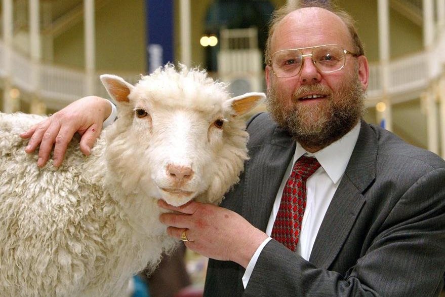 Nace la oveja Dolly, el descubrimiento que revolucionó la comunidad científica