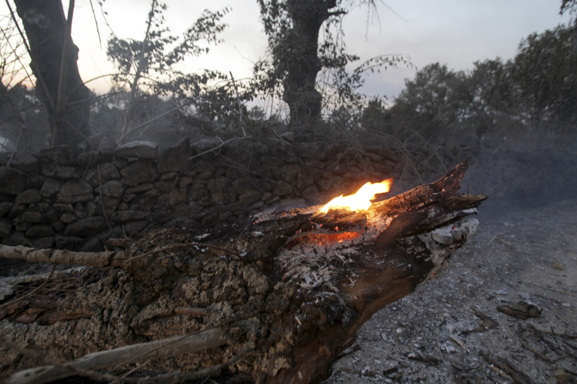 El incendio que obligó a desalojar un camping está controlado y quemó 190 ha.