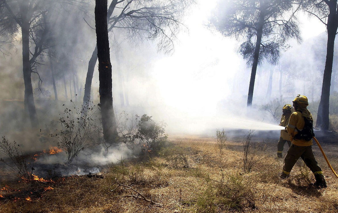 Controlado el incendio forestal del paraje «Las Cumbres» en Cartaya (Huelva)