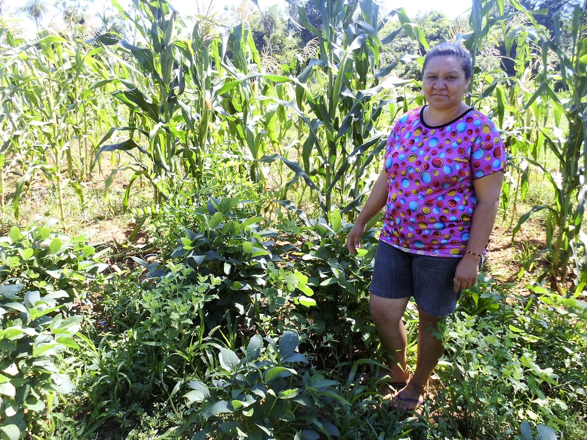 Una ONG denuncia la discriminación de la mujer rural en Paraguay pese a su doble trabajo