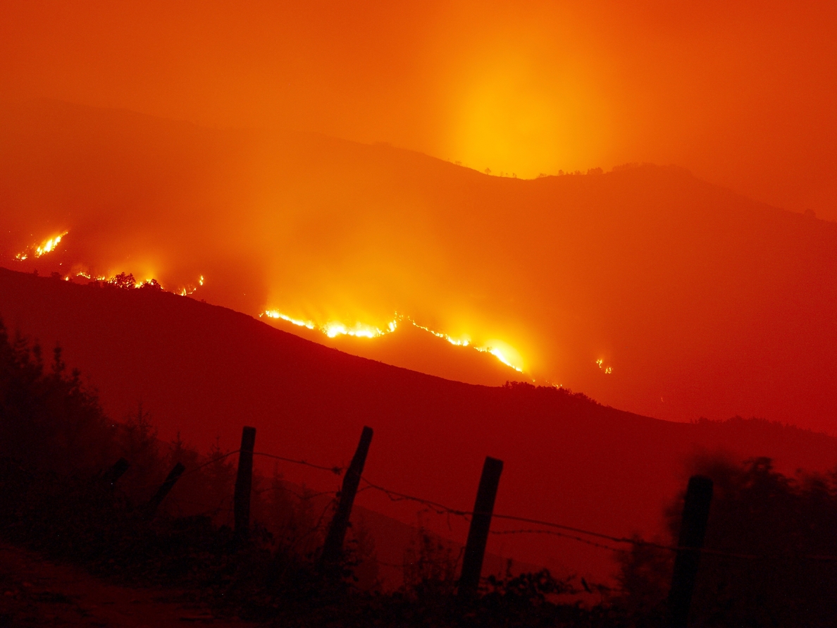 Siguen cuarenta y dos incendios forestales en Galicia, ninguno con peligro real