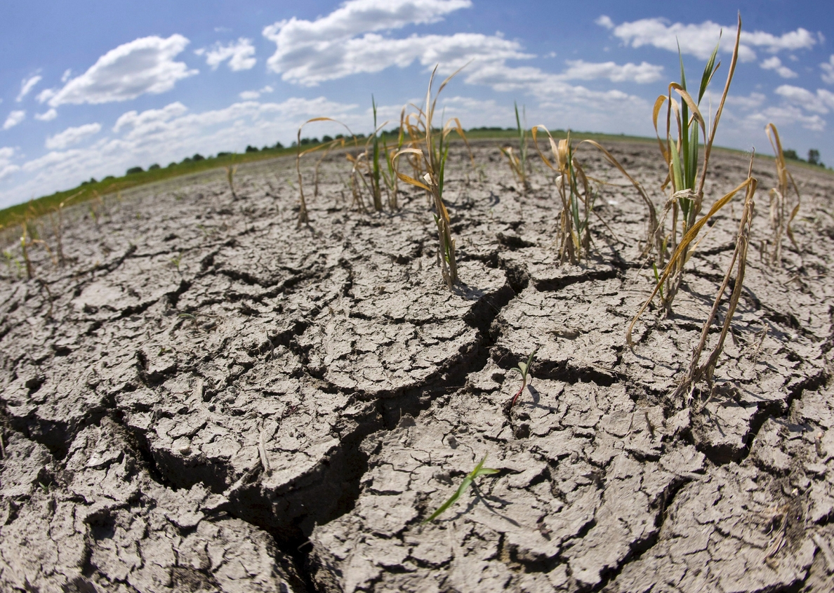 BM: Las sequías impiden alimentarse a 81 millones de personas en el mundo