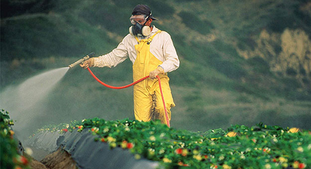 El fin del glifosato está cerca: Europa pide prohibir su uso en agricultura