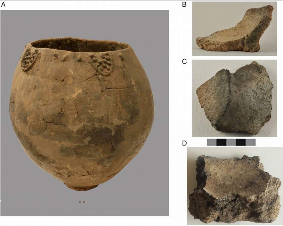 Descubren restos de vino con 8.000 años de antigüedad