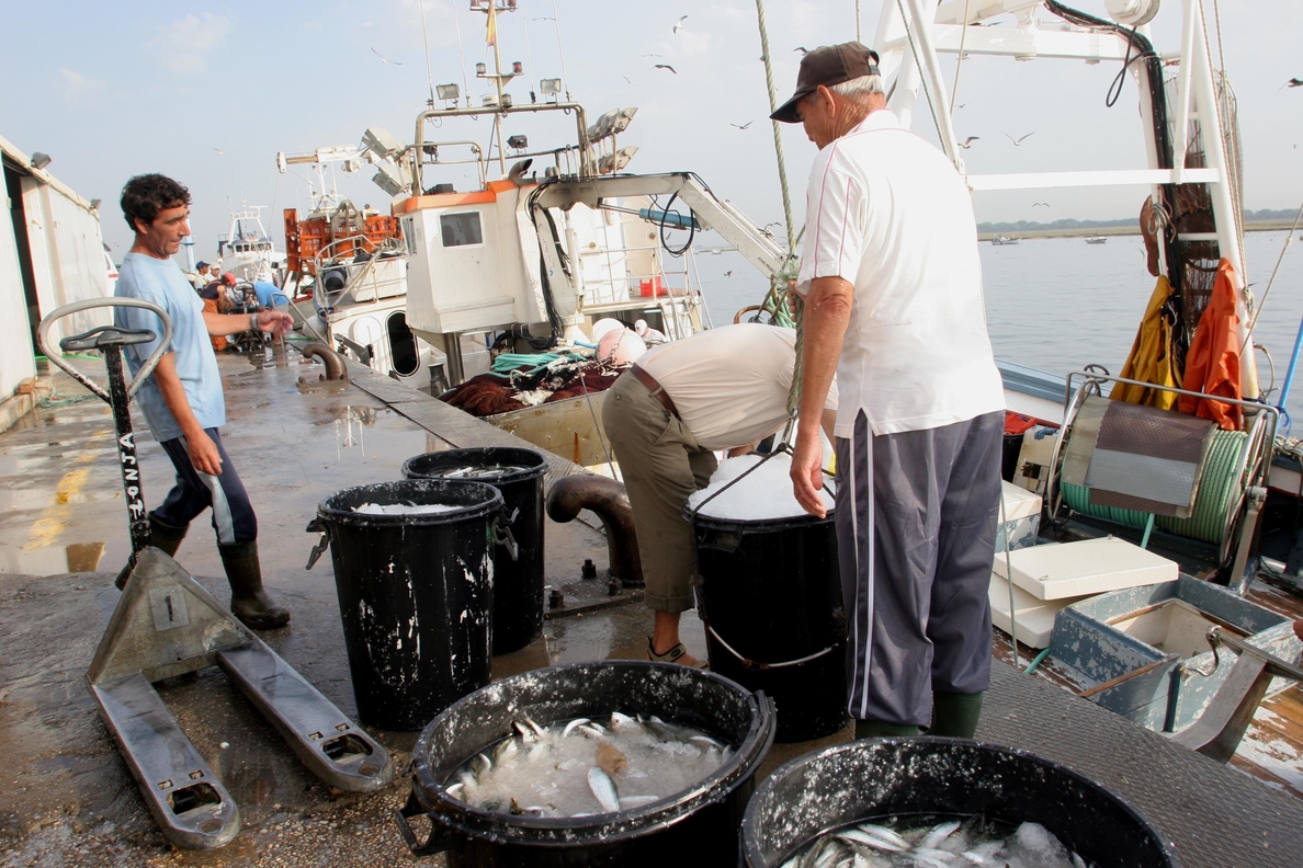 Andalucía exigirá ayudas al sector si el TUE considera «no válido» el acuerdo de pesca Marruecos y UE