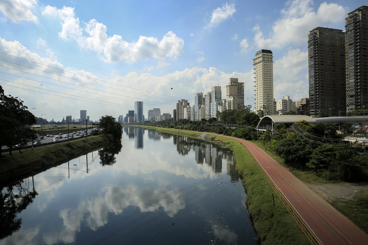 OMS: el estado de São Paulo es una área de riesgo para contraer la fiebre amarilla