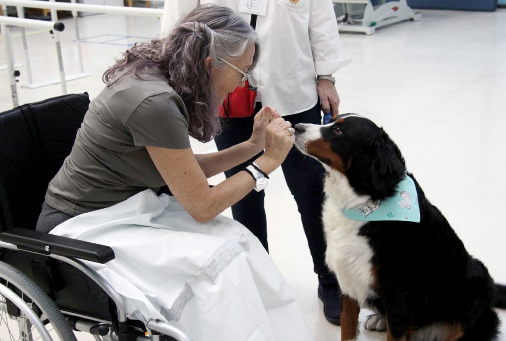 Un perro como terapia y desconexión ante una larga estancia hospitalaria