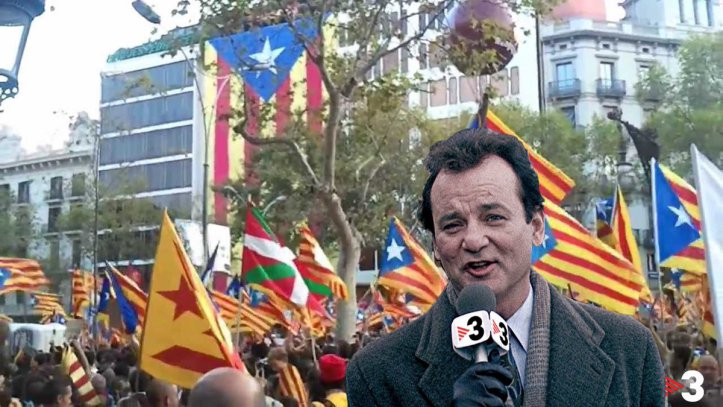 Barcelona - Hilo para seguir descojonandose de los independentistas 12.0 - Página 23 2018-02-27-Dia-marmota-Cataluna_TINIMA20180227_0173_1