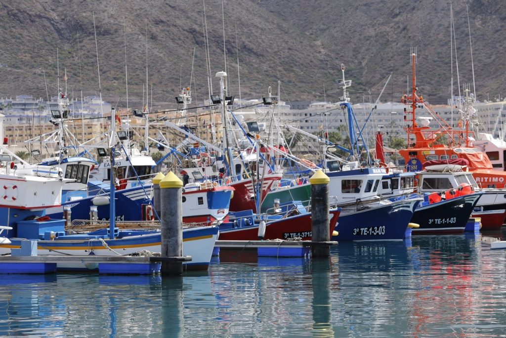 El Ministerio de Agricultura abre este lunes la pesquería de atún rojo en el caladero canario