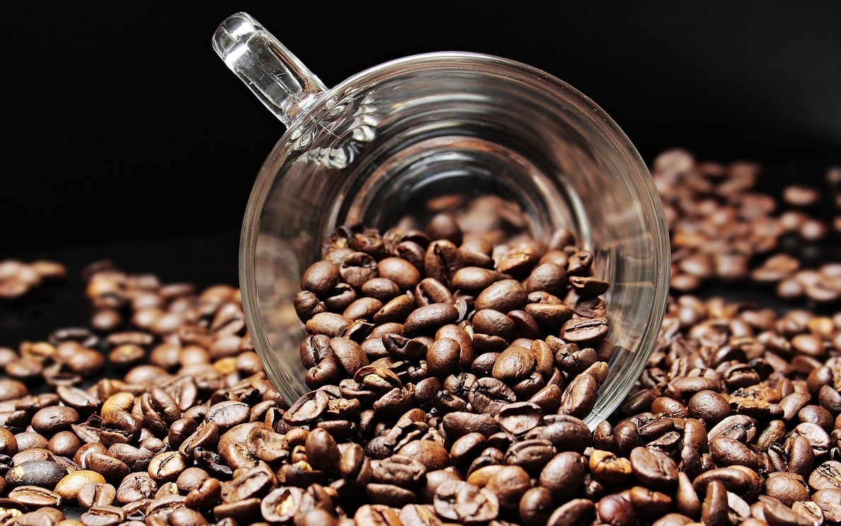 La cafeína provoca un aumento del miedo a lo nuevo y ansiedad en enfermos con Alzheimer