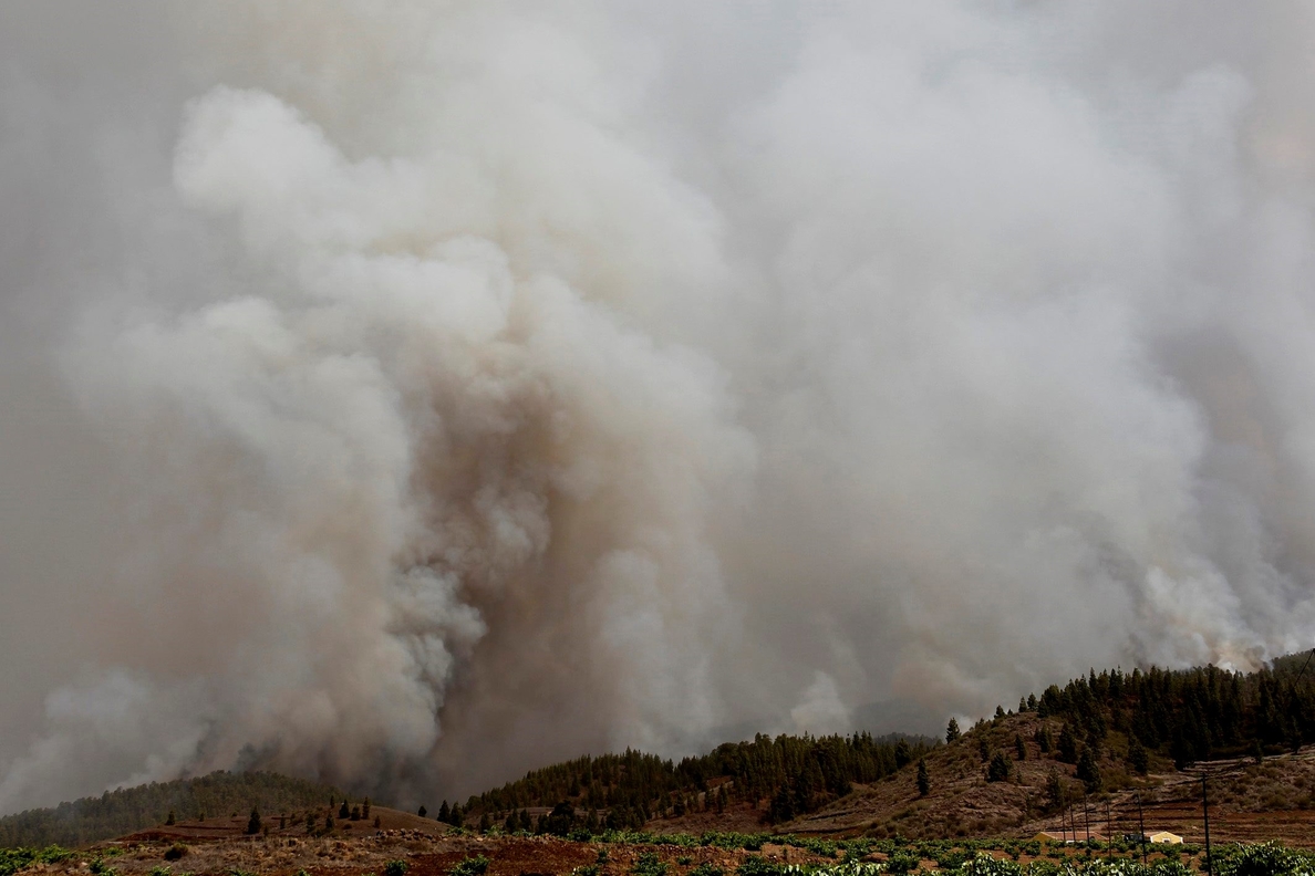 Se mantiene activo el incendio forestal en el sur de Tenerife