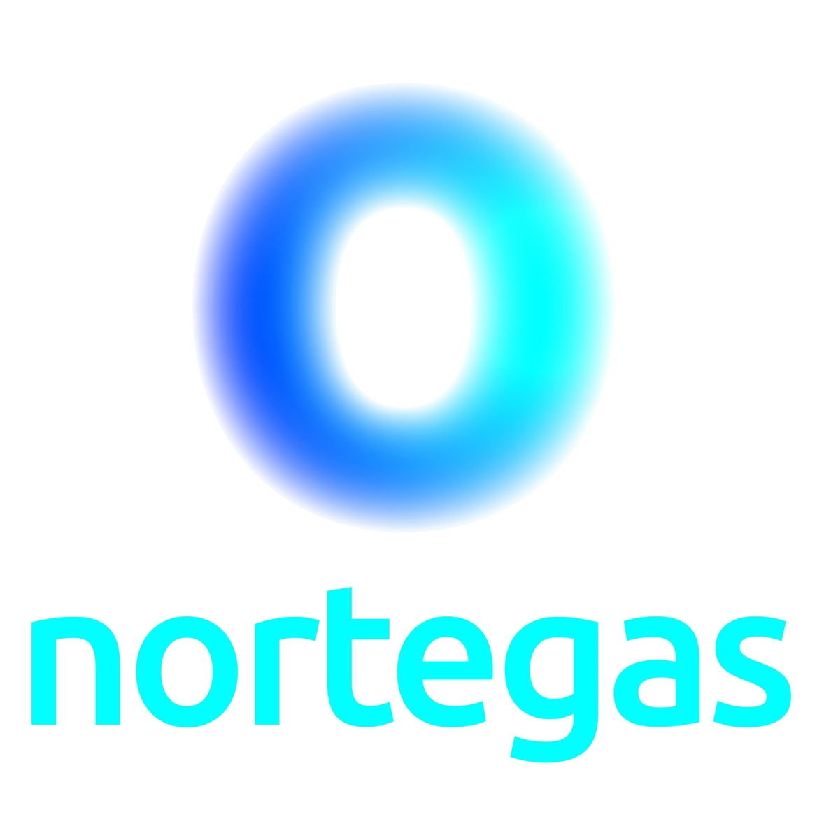 Naturgas pasa a denominarse Nortegas e inicia «una etapa de crecimiento» en Euskadi, Asturias y Cantabria