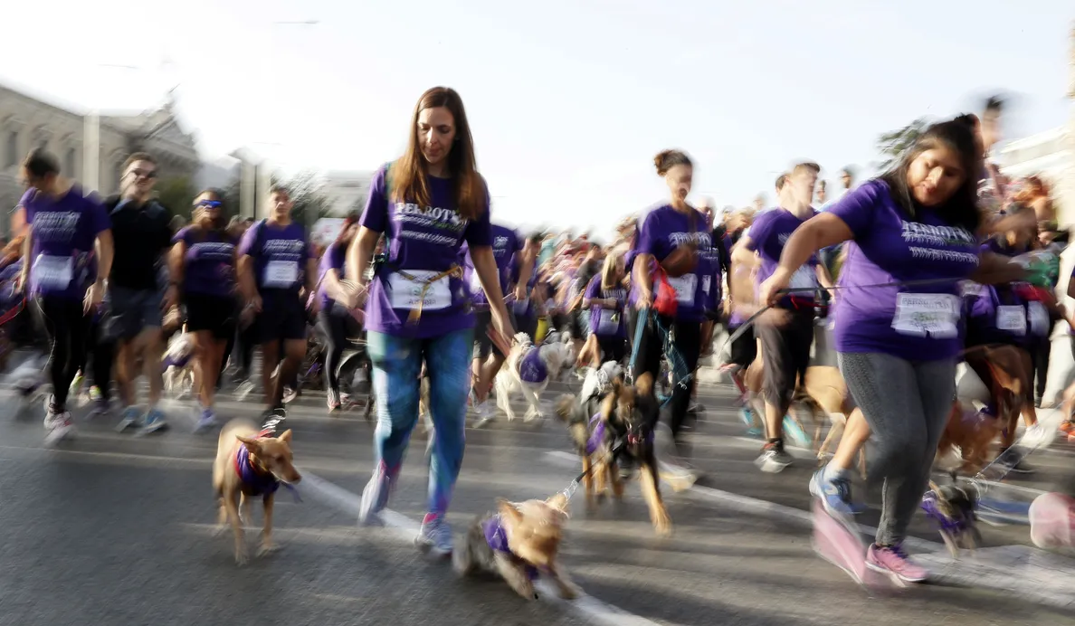 Abierto el plazo de inscripción para la carrera solidaria Perrotón 2018